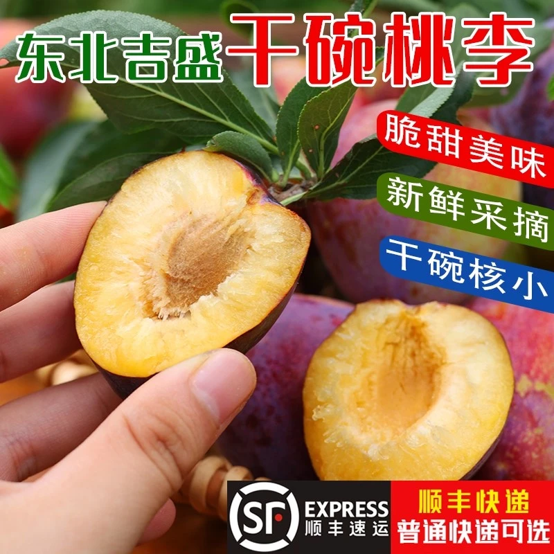 【顺丰包邮】正宗东北特产吉盛李子脱骨空心离核新鲜水果产地直发