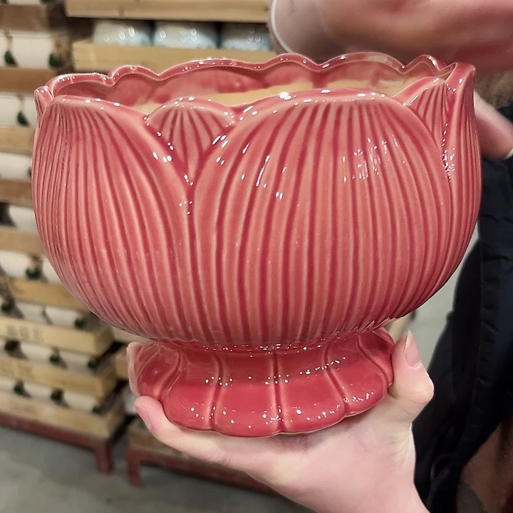 陶瓷陶瓷多肉植物花盆