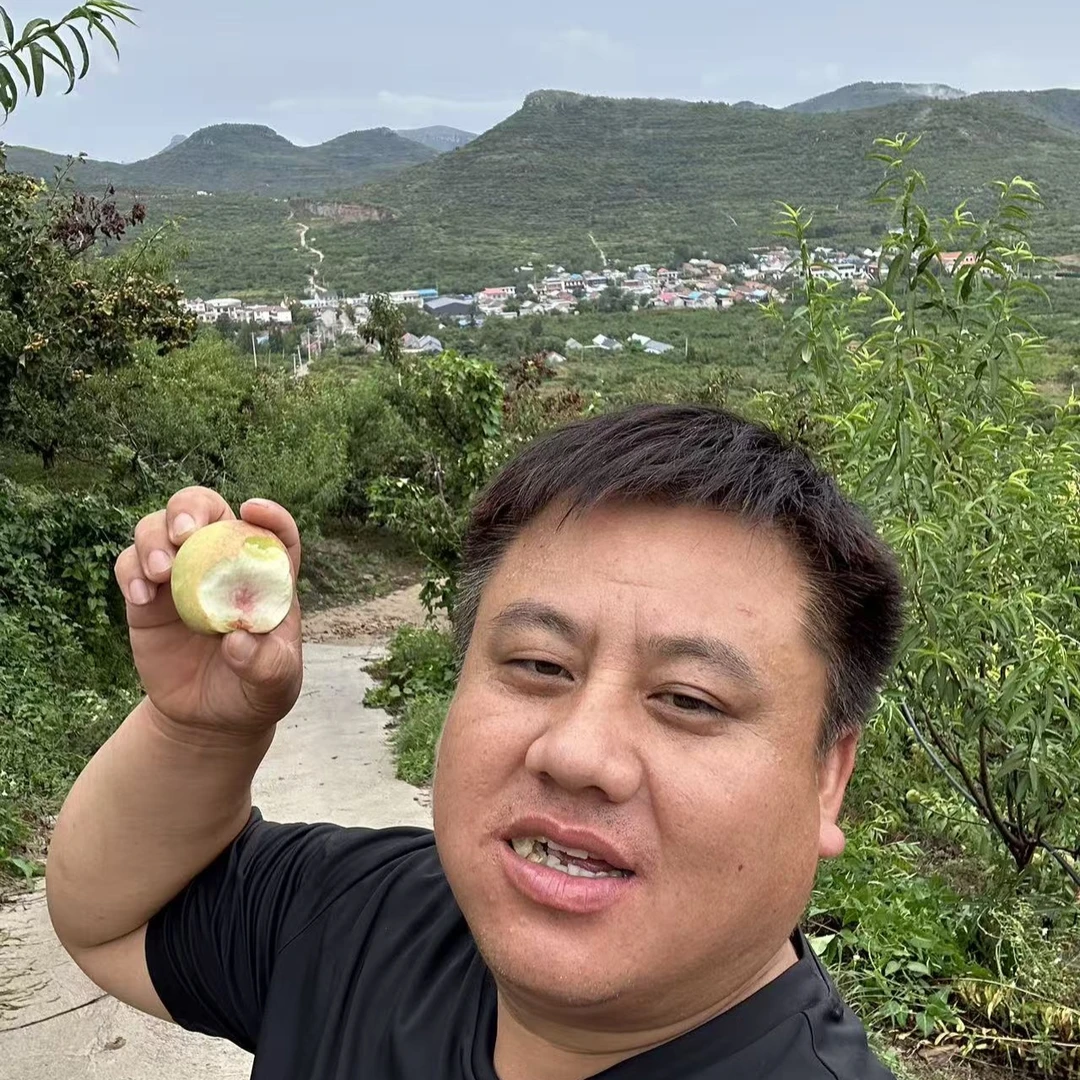 山东蒙山早冬桃现摘现发新鲜到家