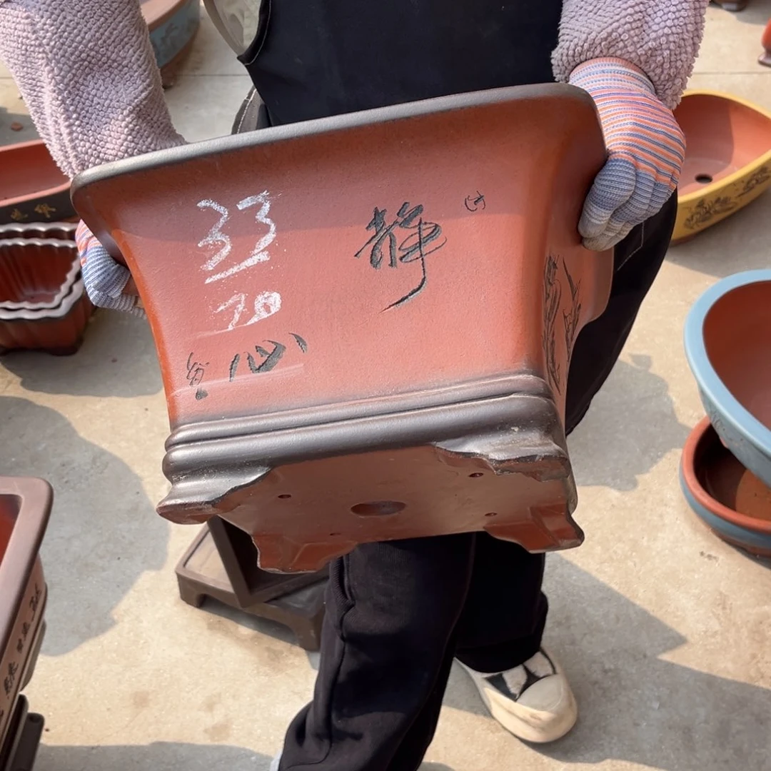 紫砂花盆盆景艺术