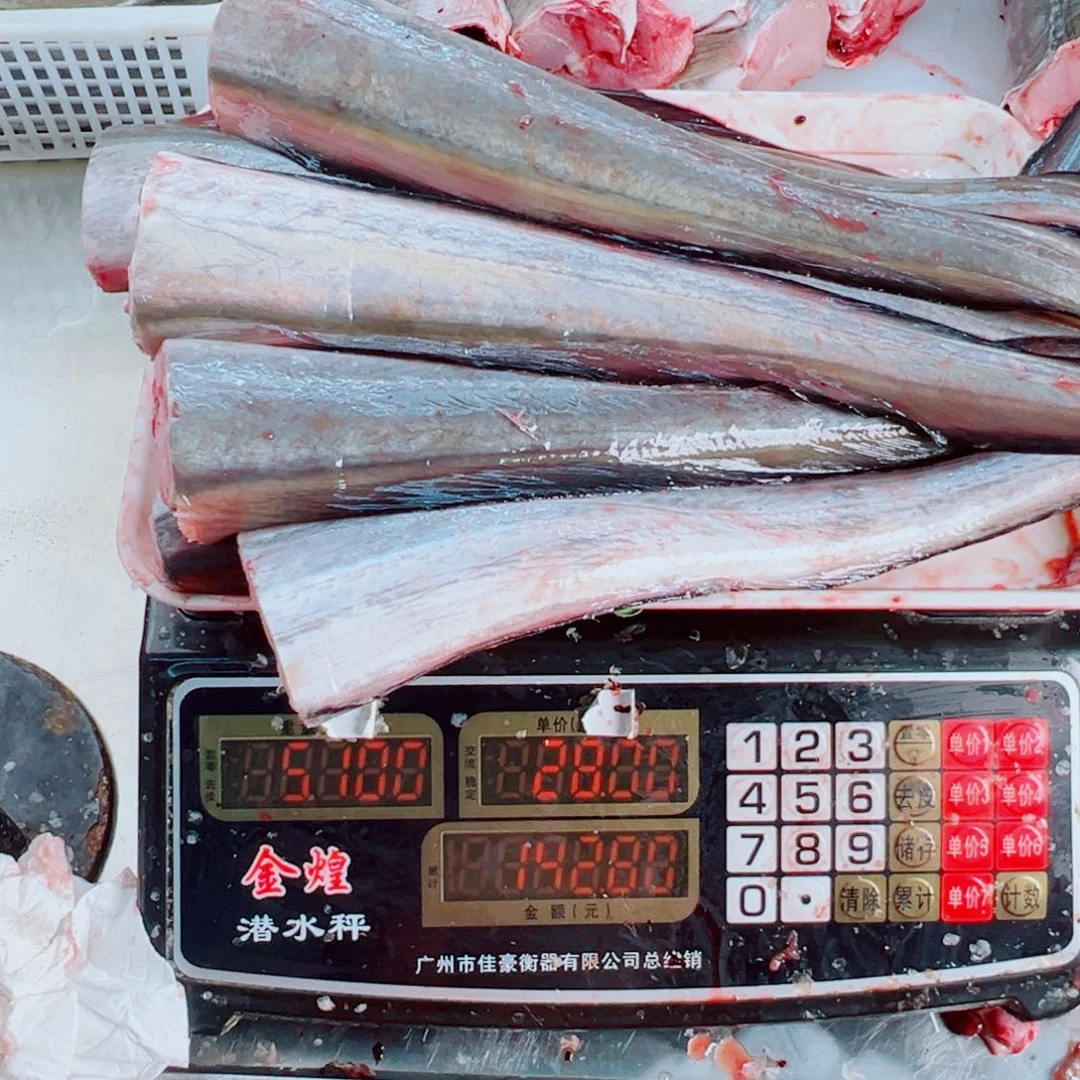 中国大陆野生鳗鱼鱼尾5斤