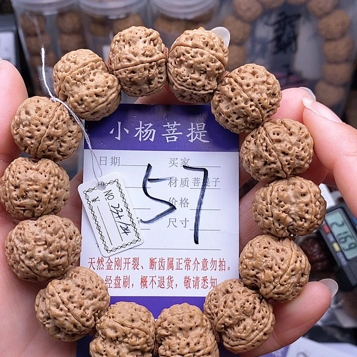 金刚菩提手串23.5/24梅花