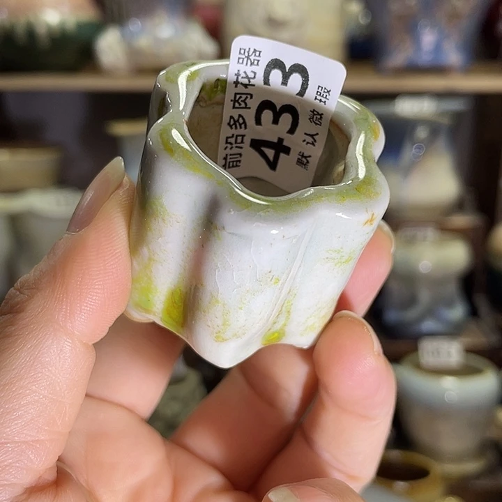 狼盆内口径3高度4