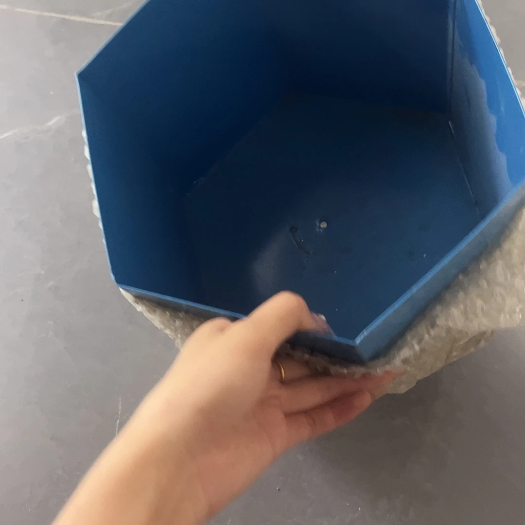 小***燕孤品给力炸炸炸炸炸