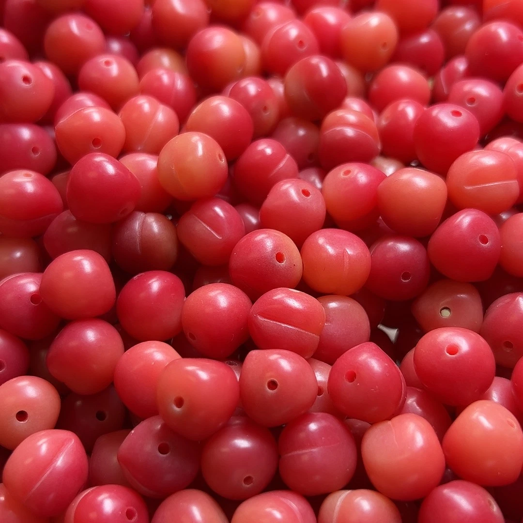 菩提根/象牙果吊坠11颗卡12水蜜桃