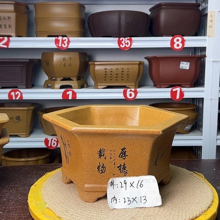 花盆紫砂蛇年大吉