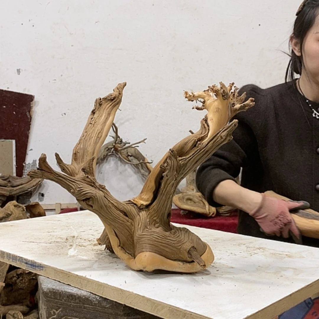 【闪购商品】柏木木**缘我们都是好孩子