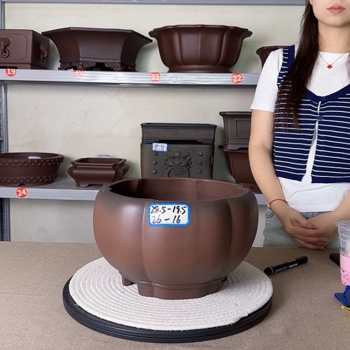 紫砂花盆紫砂花开