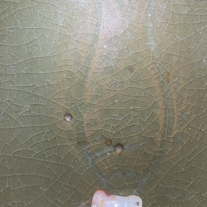 水***生瓷片花开富贵大家庭