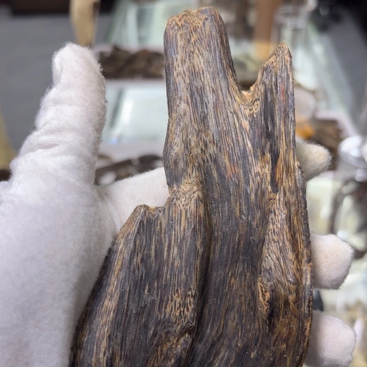 木乌身皮油发一份