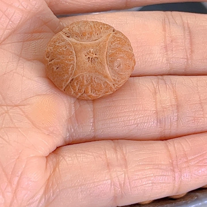 凤眼菩提吊坠用****221麒麟81@7376