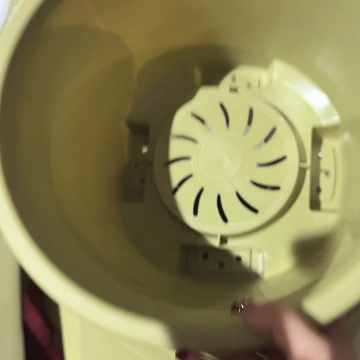 球根盆4号果绿无托5个