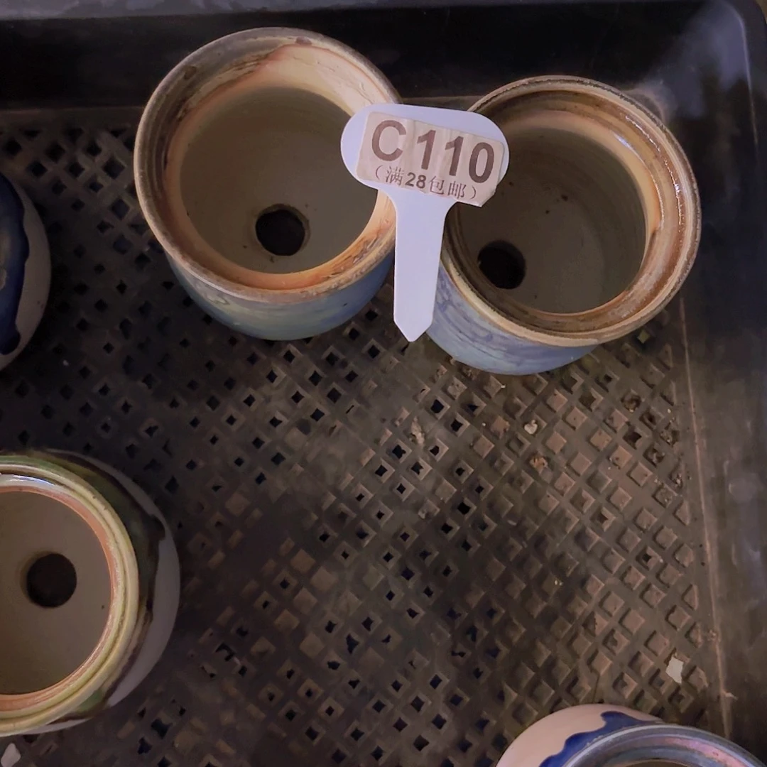 开***心C110两个盆一物一拍