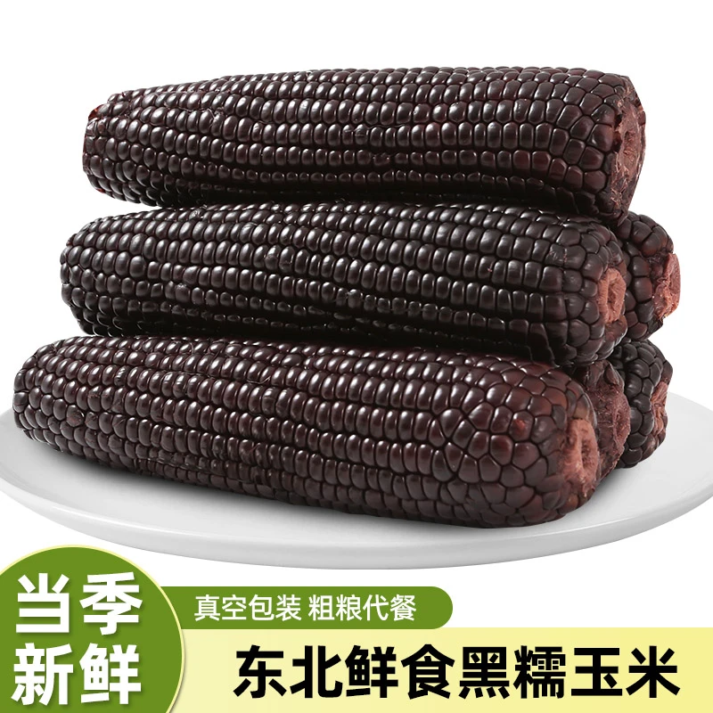 (试吃3支)头茬东北头茬黑玉米现摘香甜软糯12支装(整箱6斤以上)