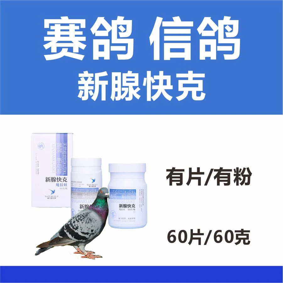 【新腺快克】耐久翔赛鸽信鸽鸽子甩拉吐鸽子用品