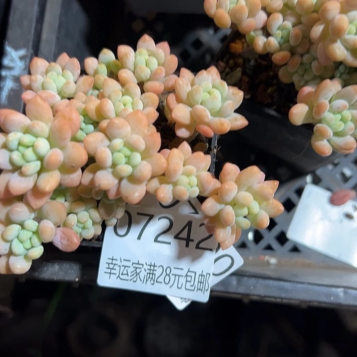 幸运的是我还没遇到