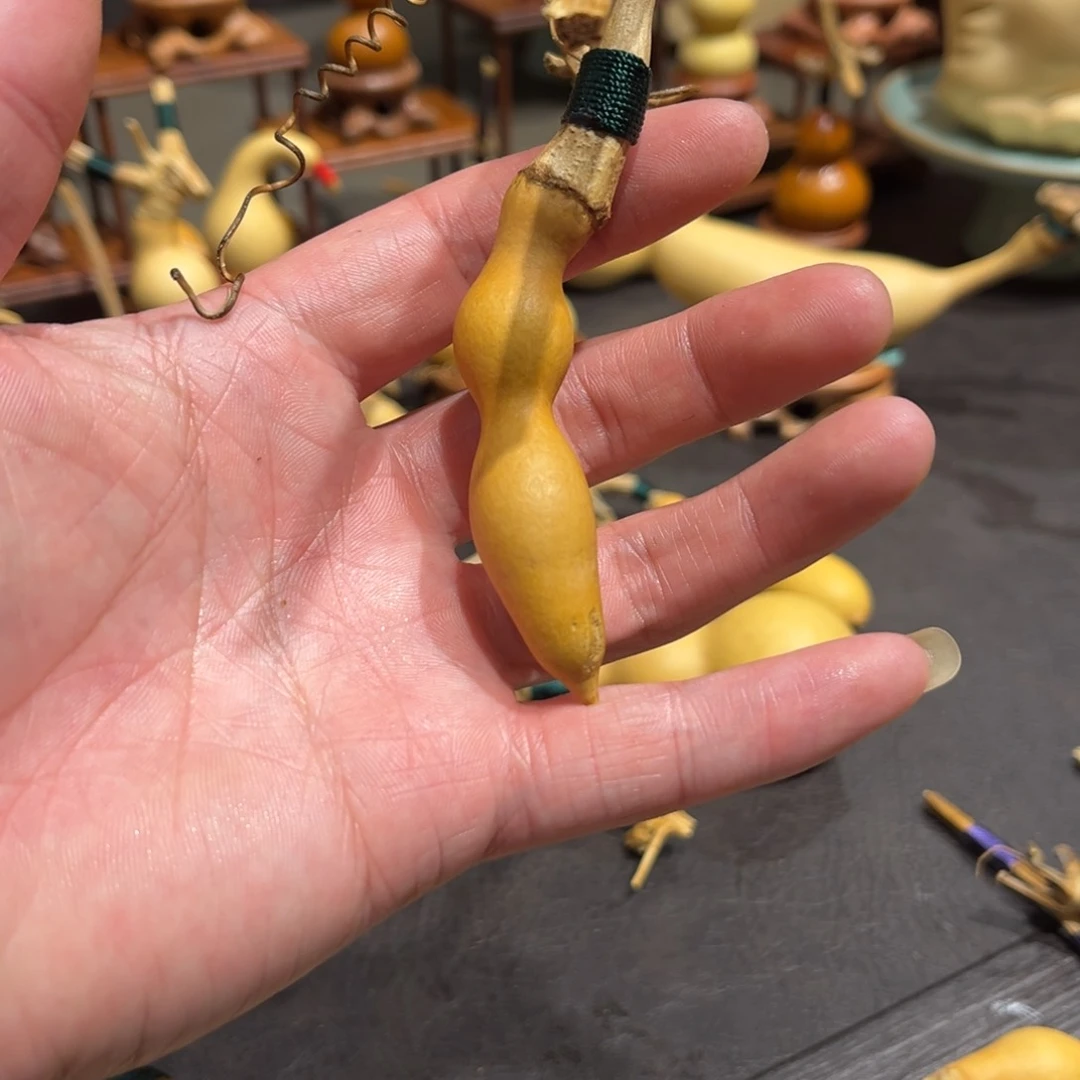 葫*锁重返校园后就一直没