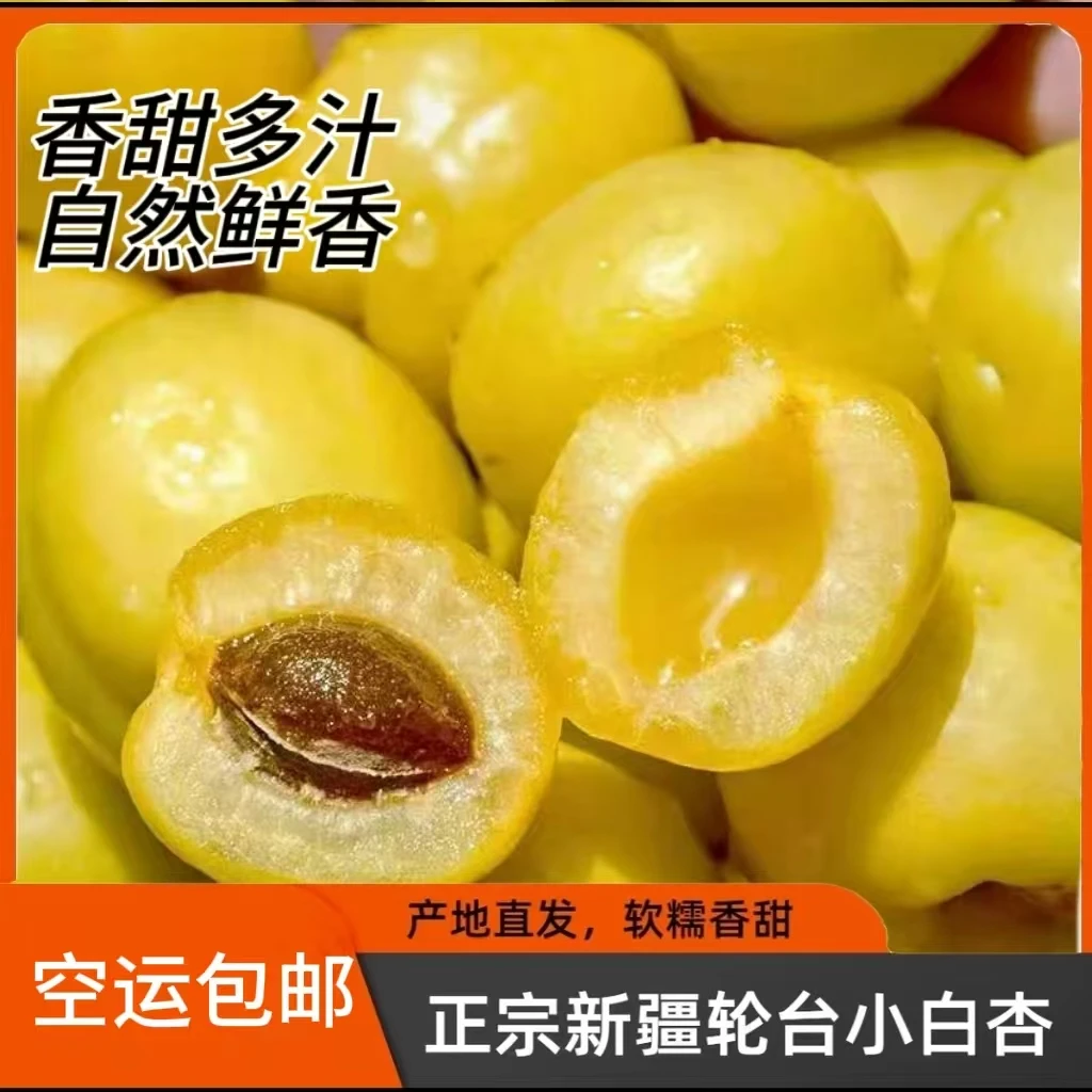 新疆轮台 小白杏产地直发(空运包邮)香甜清香饱满
