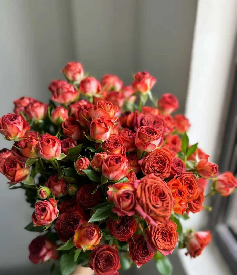 【巧克力泡泡】拍二单升级发顺丰/京东 家用鲜花直播间直播卖花