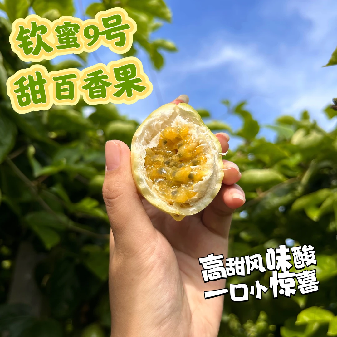 【林立标准】 钦蜜9号百香果 甜度优秀 带点风味酸 5斤±2两 京东