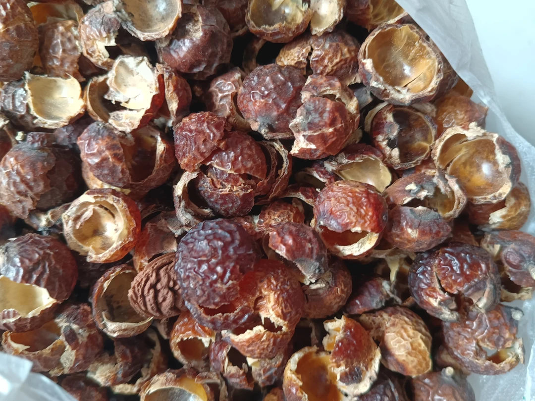 无患子果皮四斤十元只是邮费