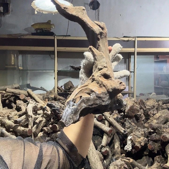 渣****火琉璃的故事是一个