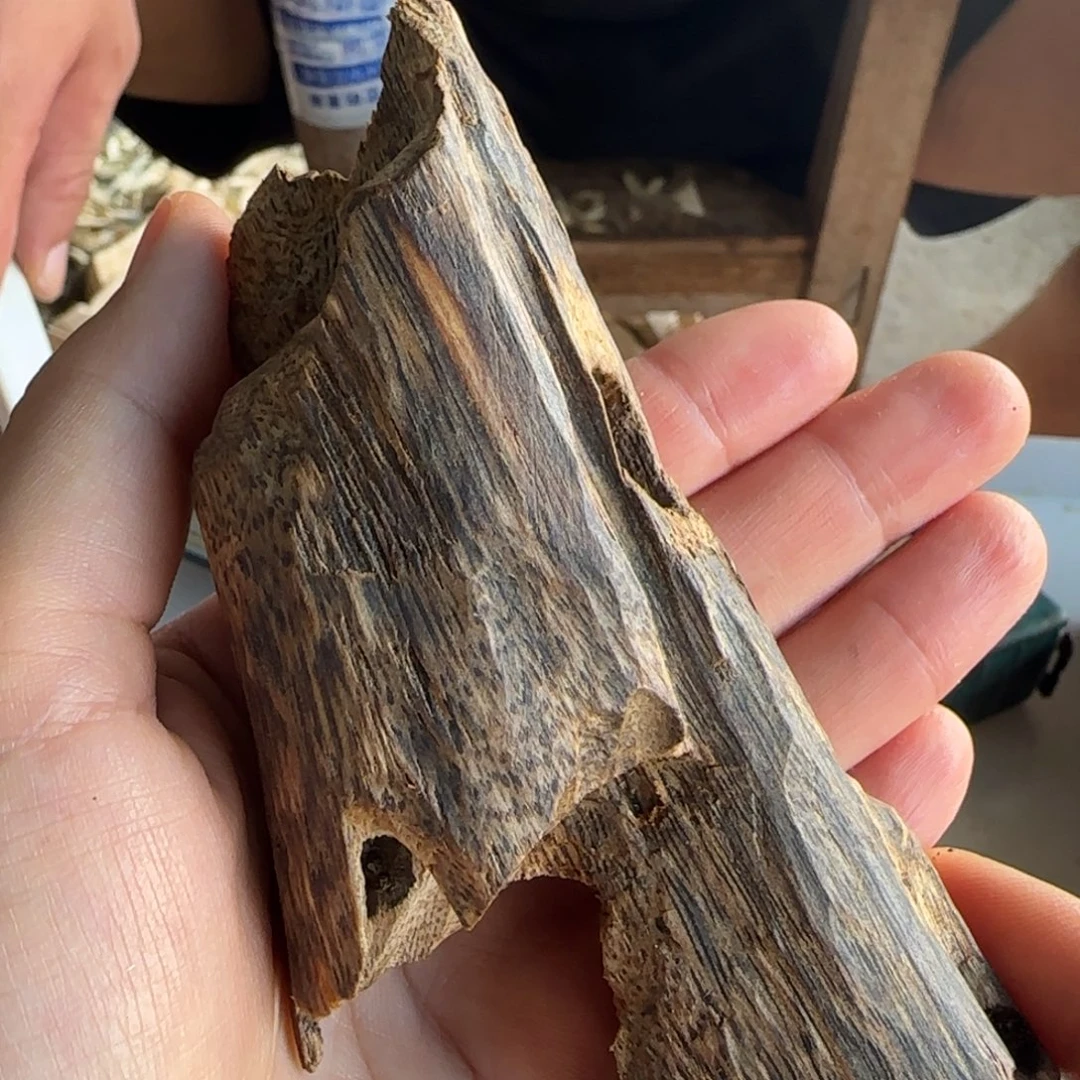 沉香沉香碎屑精品虫漏一个