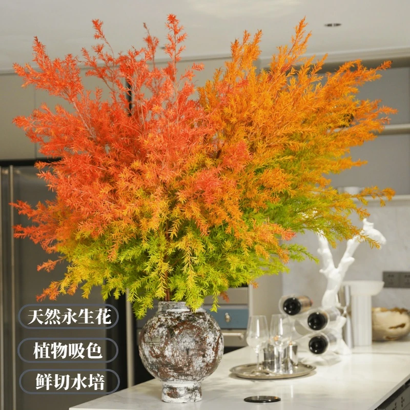 【千层金鲜花】高品质黄金香柳｜室内优选水培干插｜云南基地直发