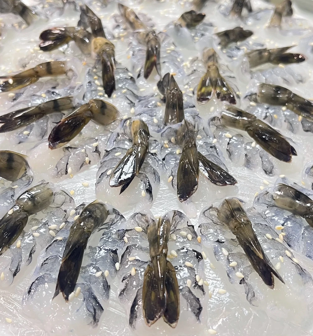 虎虾·刺身 (10只) 大号