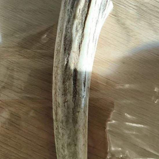 永***远大理石磁石鹿角鹿角鹿角鹿角鹿角鹿角