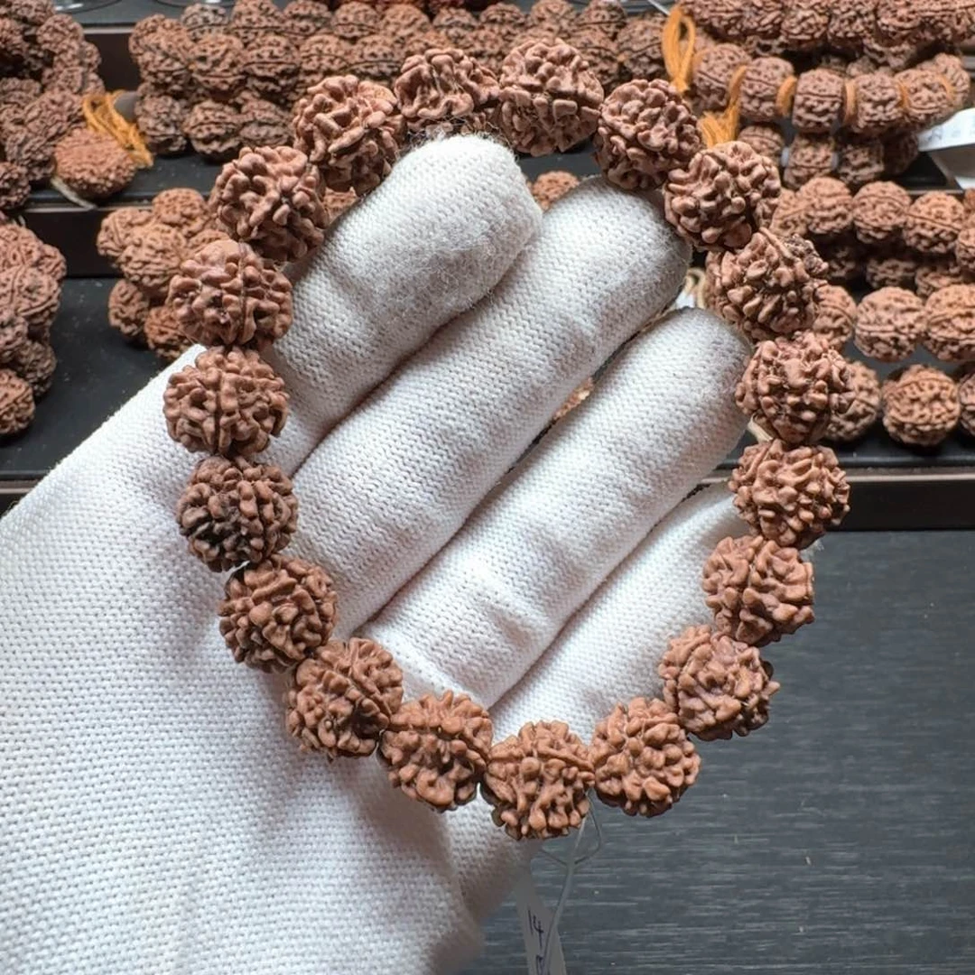 金刚菩提手串14大金刚野生籽五星龙脊