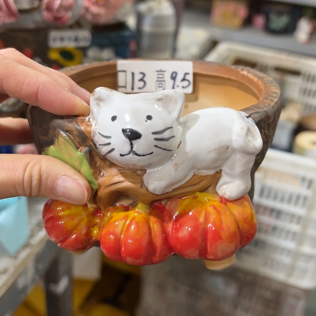 满20米秒退拉黑多肉