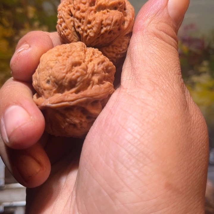 文玩核桃吊坠滇西47
