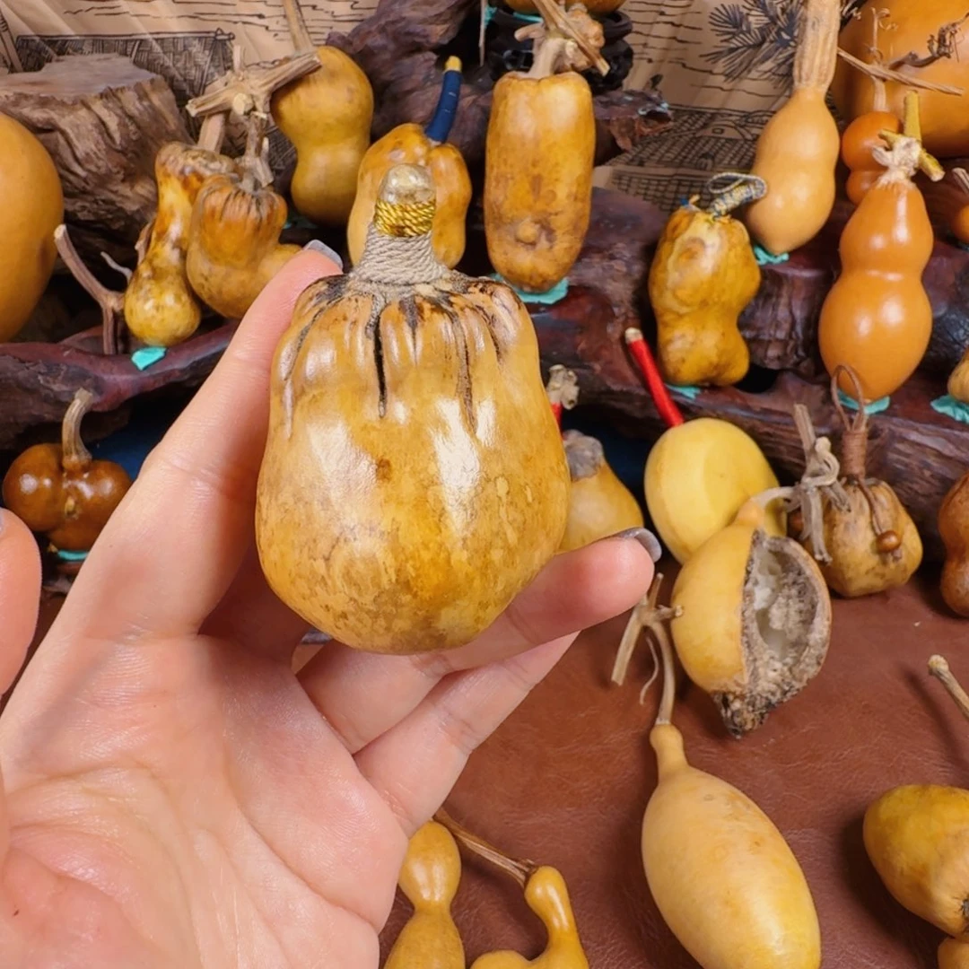 大***超反反复复发风风光光vvvvv