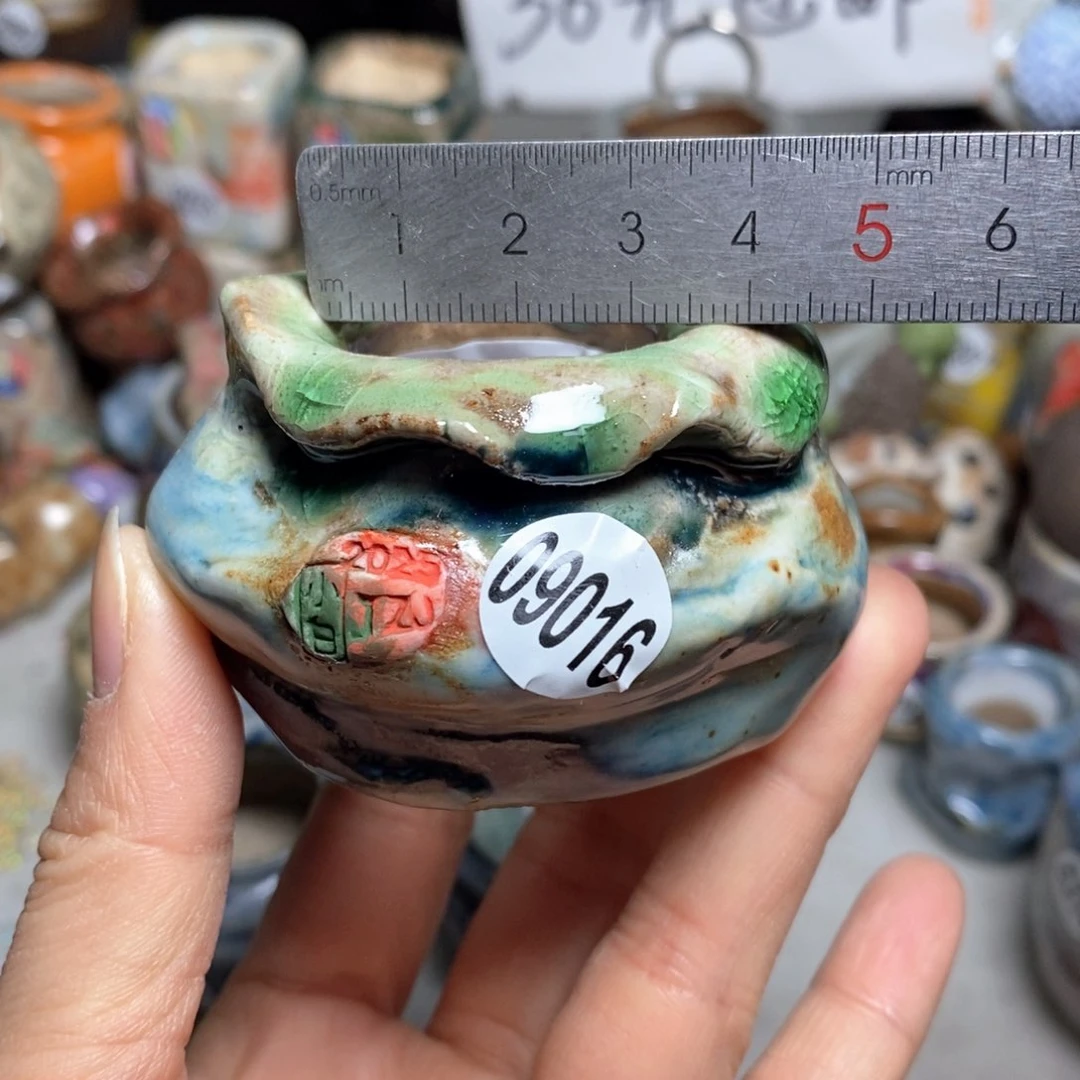 花盆拍3送一个小礼物