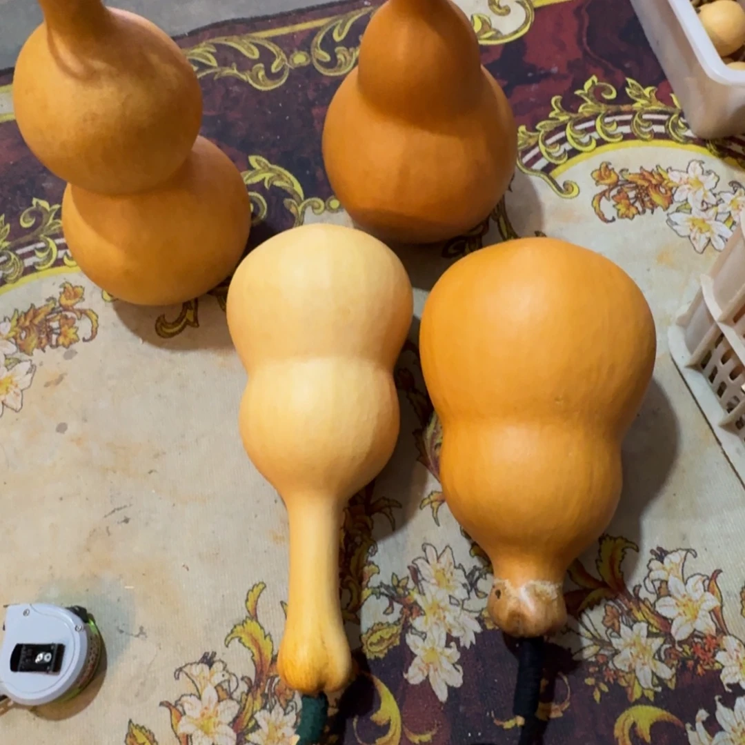 古***壳222222222222222222