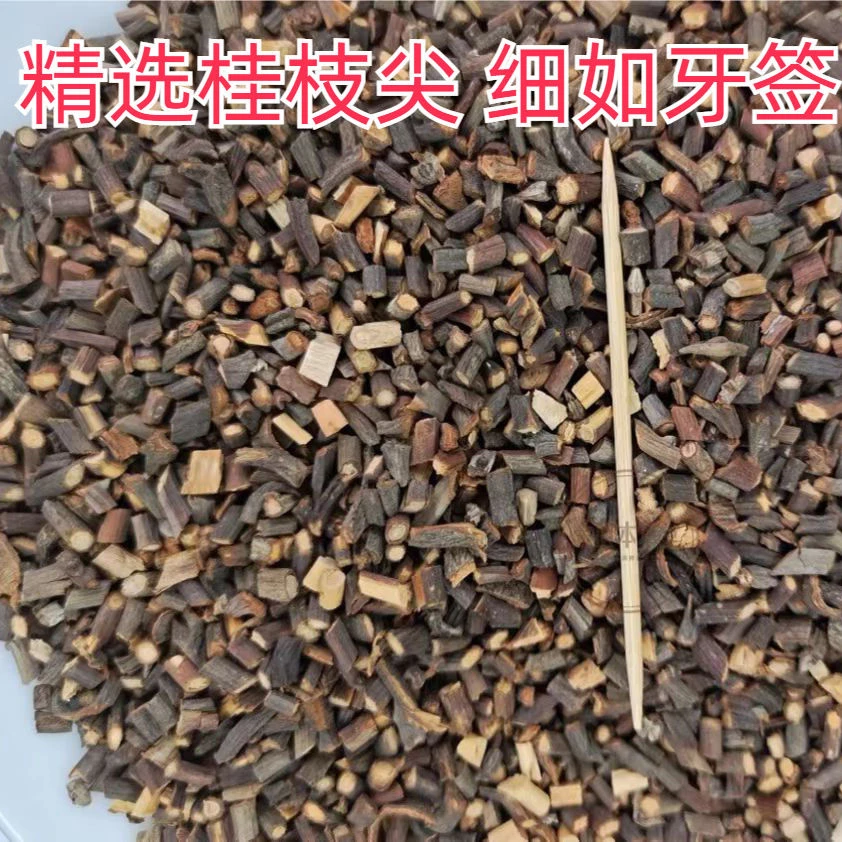 新货正品细嫩香桂枝中药材桂枝蔓荆子尖包邮批发蓖麻子桂枝汤