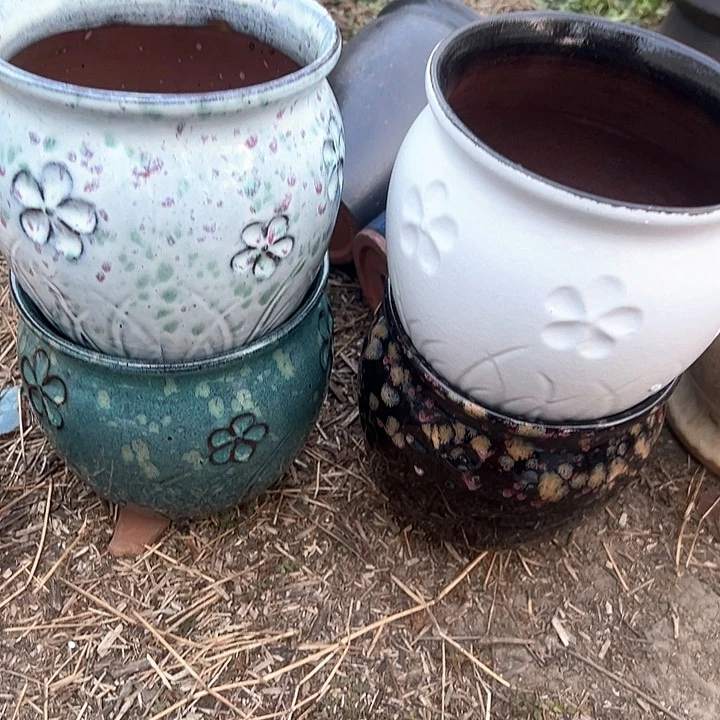 红陶口15高15新品福利