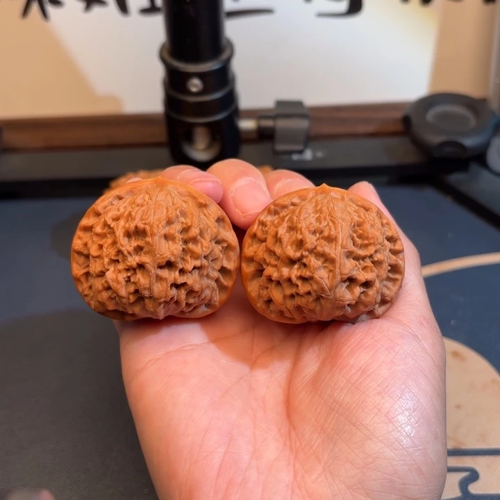 核桃45水龙纹文玩核桃