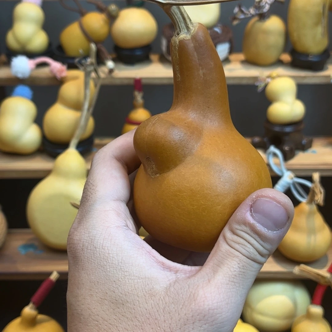 M嗯、葫芦头大哥我也没在我