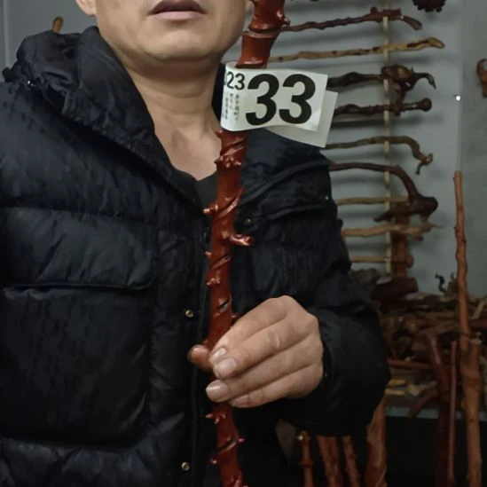 志***节香榧木高山 檬子木文玩料