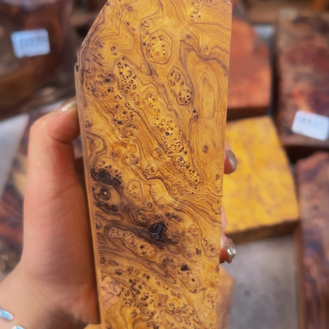 木夜**忆鬼柳尖叶木栖榄料子