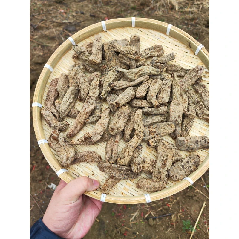 农家乌天麻煲汤乌天麻干货无硫正宗昭通乌天麻精选干货滋补品