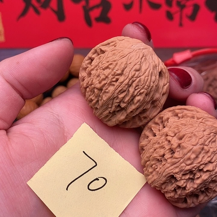 绣球20米11111111111