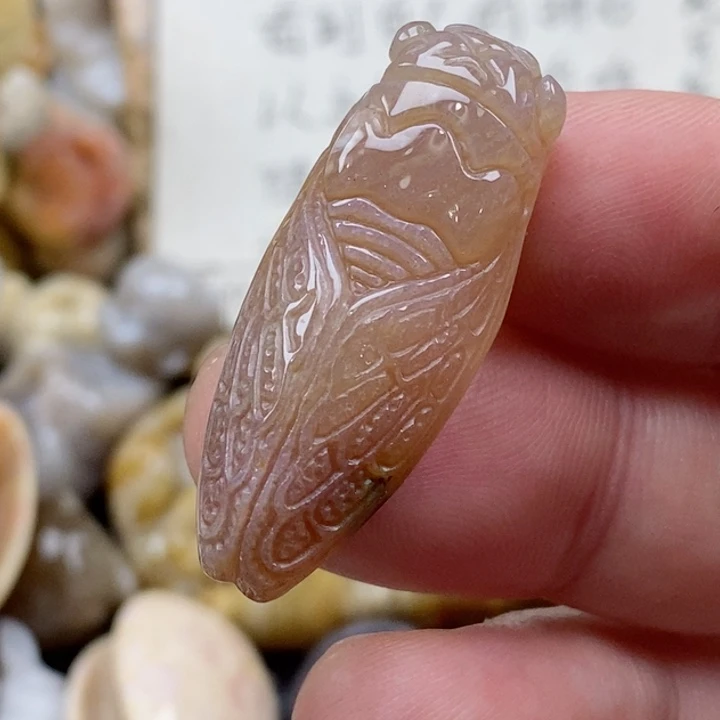 颈饰未镶嵌硅化珊瑚（珊瑚玉）小