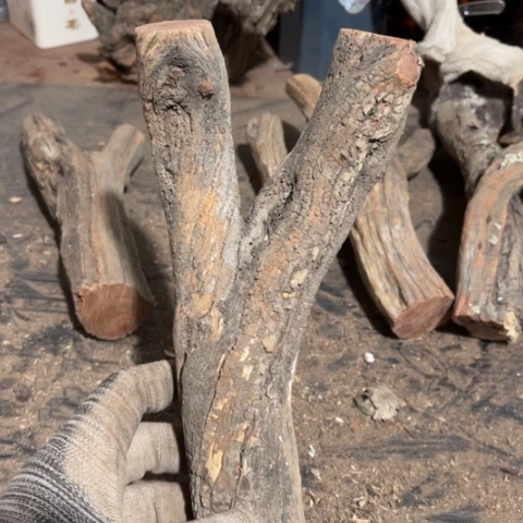 五***6大果紫檀（缅甸花梨）