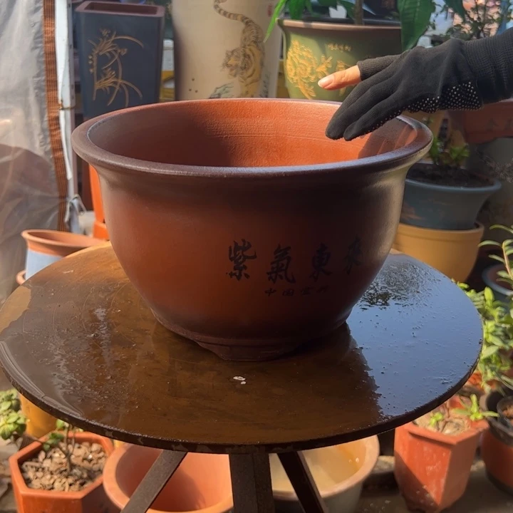 宜兴紫砂花盆花盆30紫气东来