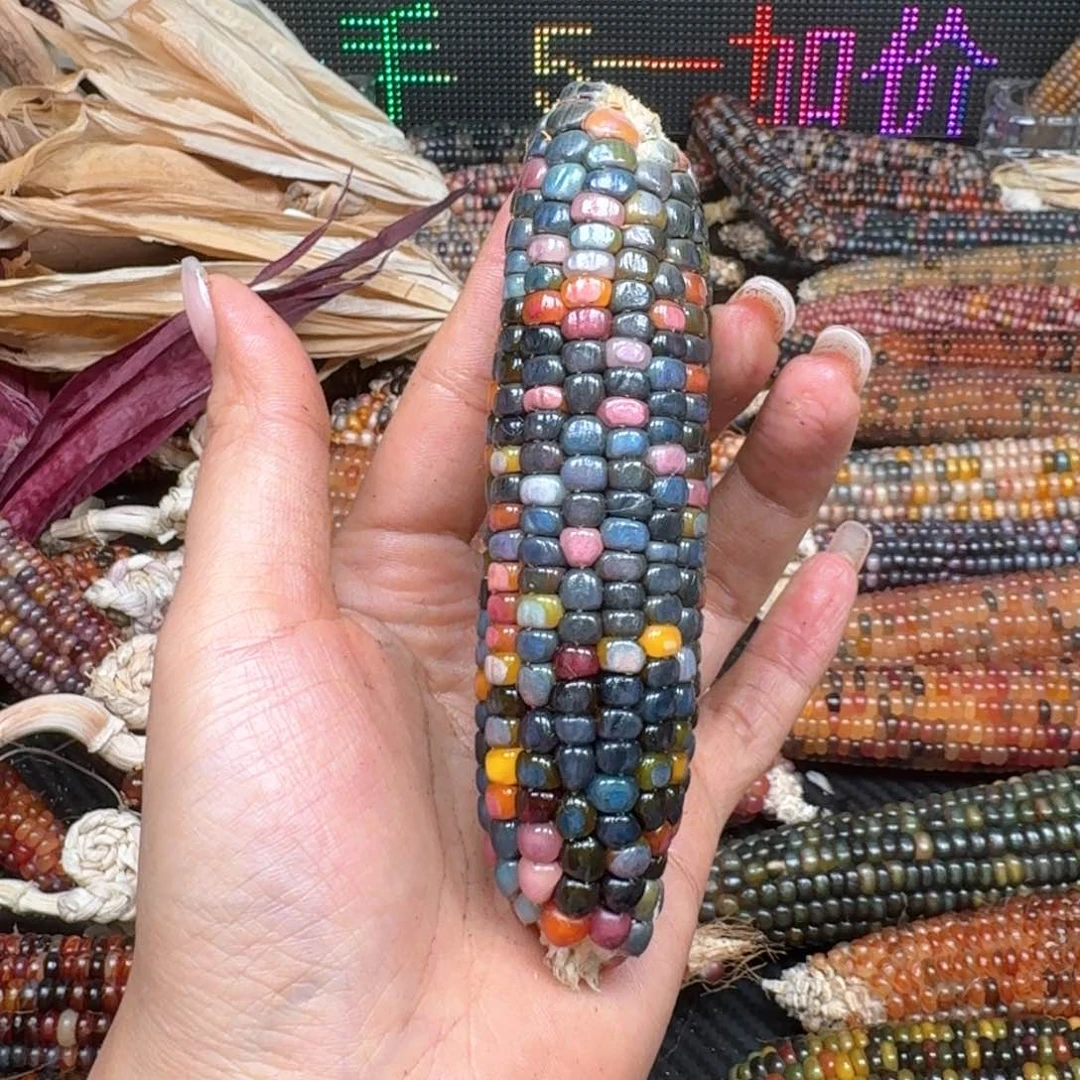 柏香籽/百香籽吊坠万*。