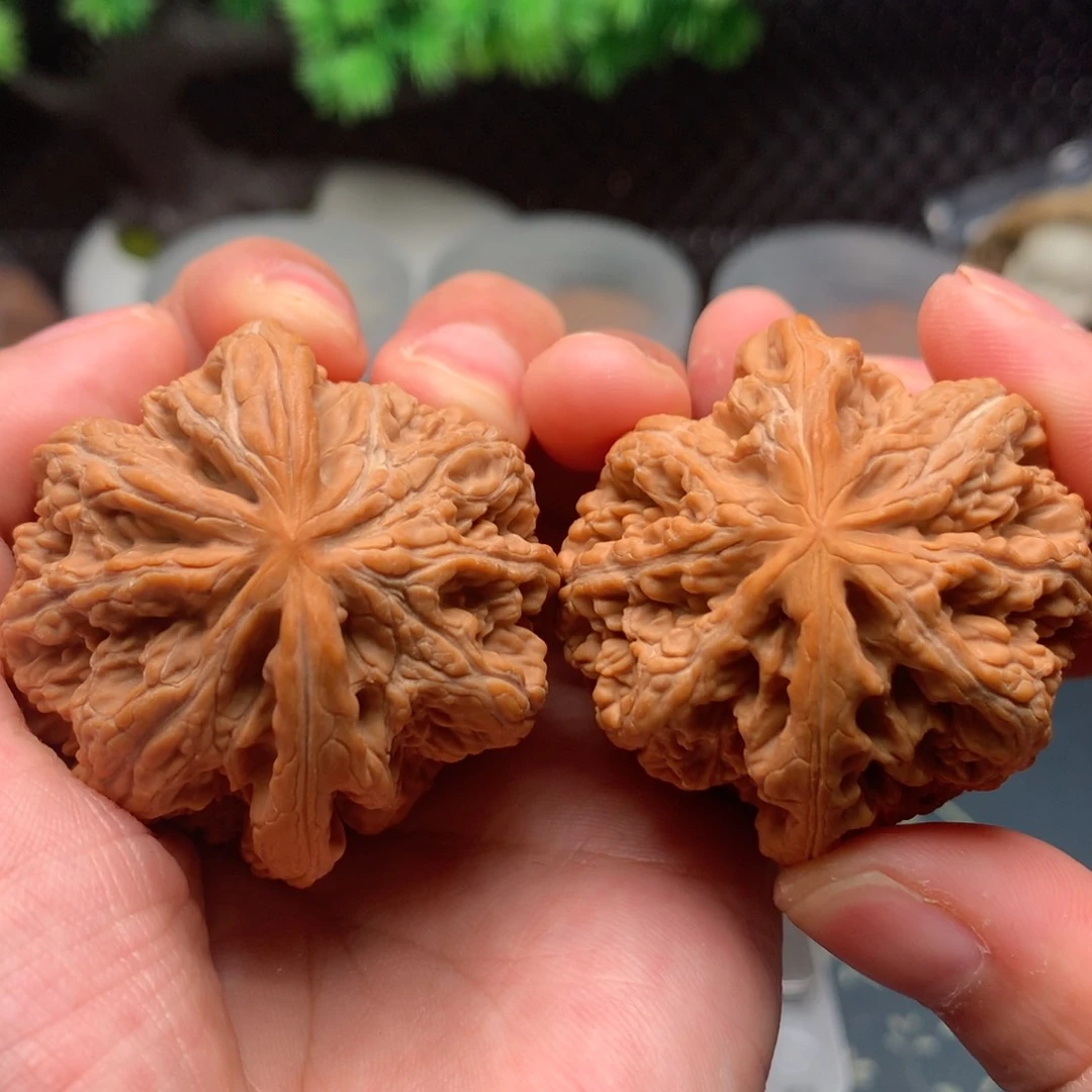 【闪购商品】桃核把件粗筋45-14292-3