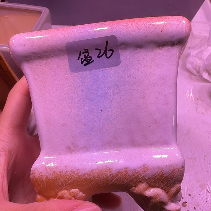 盆26，炫彩方1个，闲置处理不介意的拍！